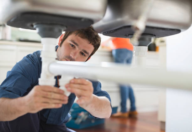 Best Affordable Plumbing Services  in Frankfort, MI