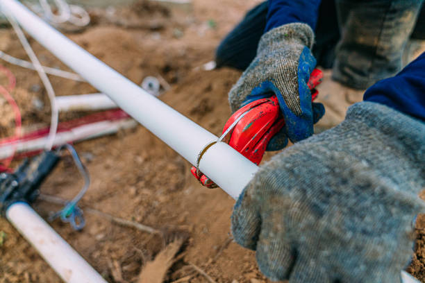 Best Clogged Drain Plumber  in Frankfort, MI