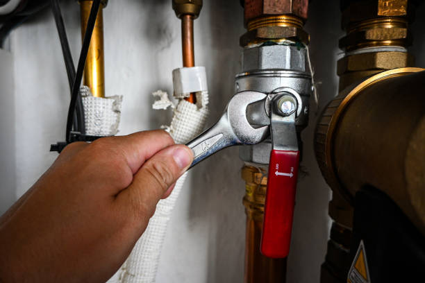 Best Sprinkler Systems  in Frankfort, MI